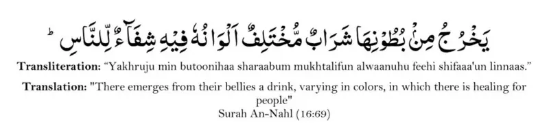 Surah An-Nahl Verse (16-69)