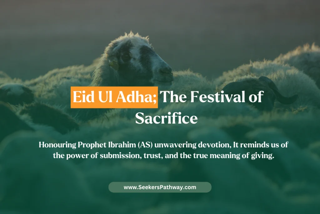 How Muslims Celebrate Eid al-Adha